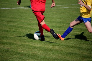 开云体育登录-“拳王争霸：四川省体育馆拳击赛将诞生新的世界拳王”